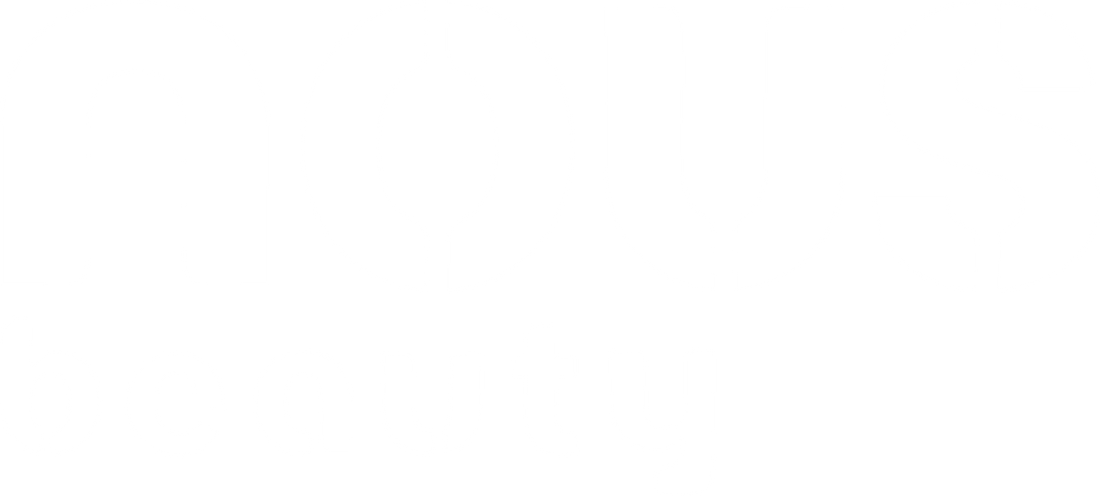 Brand logo of Nous Beauty with white text on a clear background